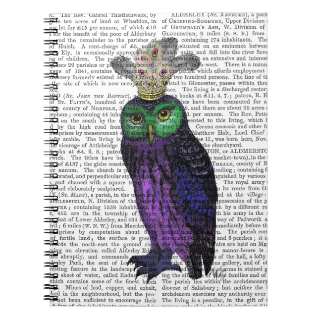 Purple Owl Notebook (Front)