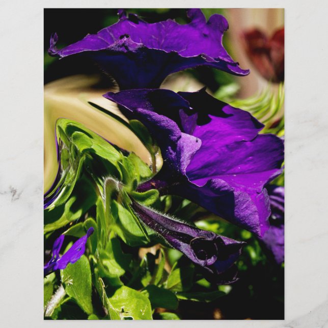 Purple Panic (Front)