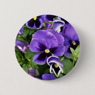 purple pansies 2 inch round button