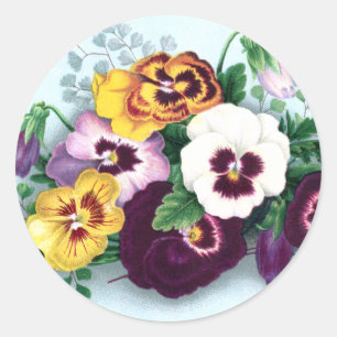 Purple Pansies and Delicate Ferns Classic Round Sticker