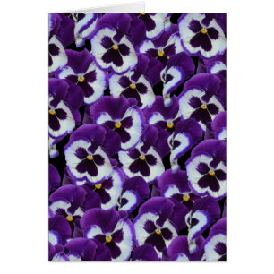 Purple Pansies Bouquet,