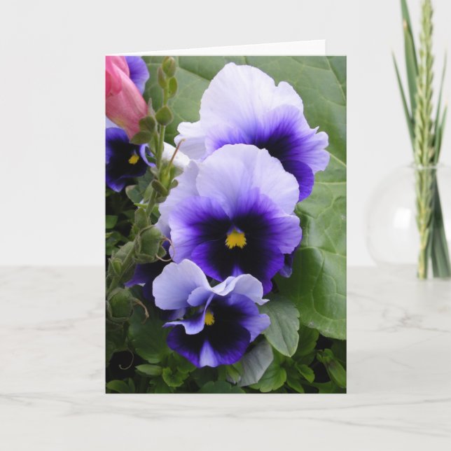 Purple Pansies Card (Front)