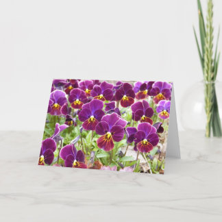 Purple Pansies Card