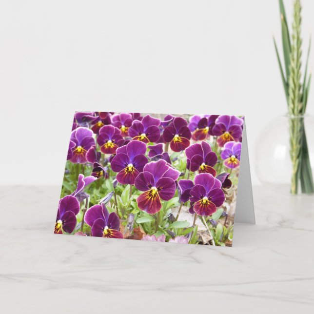 Purple Pansies Card (Front)