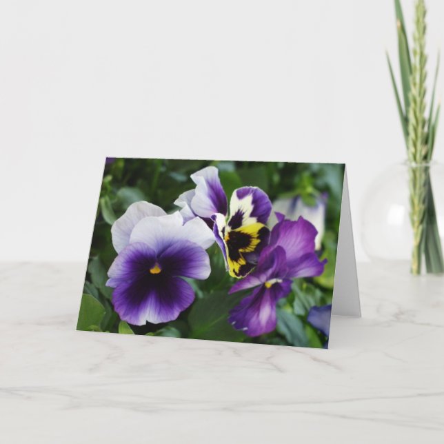 Purple Pansies Greeting Card (Front)