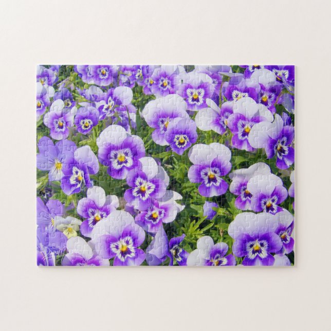 Purple Pansies Jigsaw Puzzle (Horizontal)