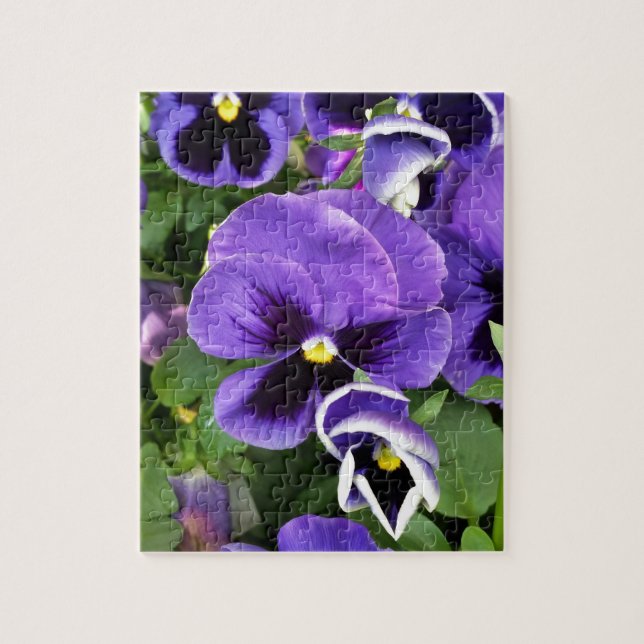 purple pansies jigsaw puzzle (Vertical)
