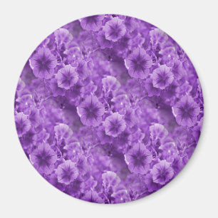Purple Pansies... Magnet
