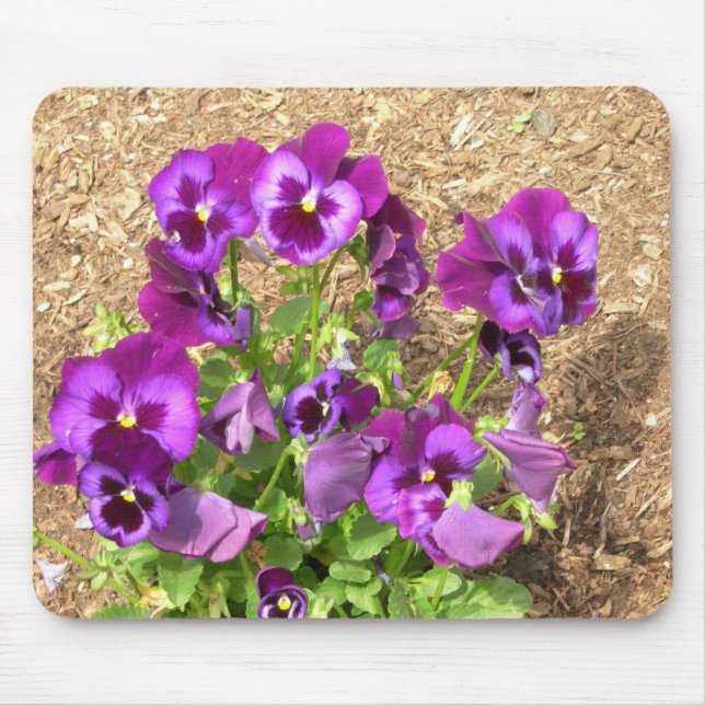 Purple Pansies Mousepad (Front)