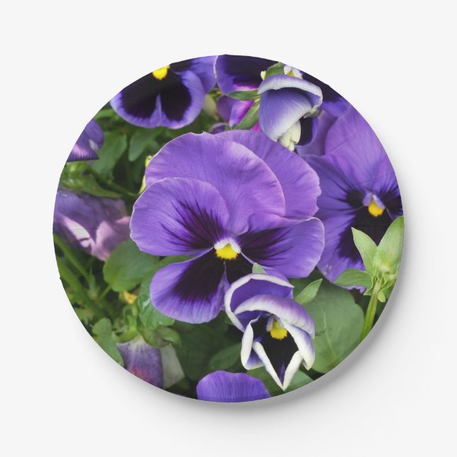 purple pansies paper plate (Front)