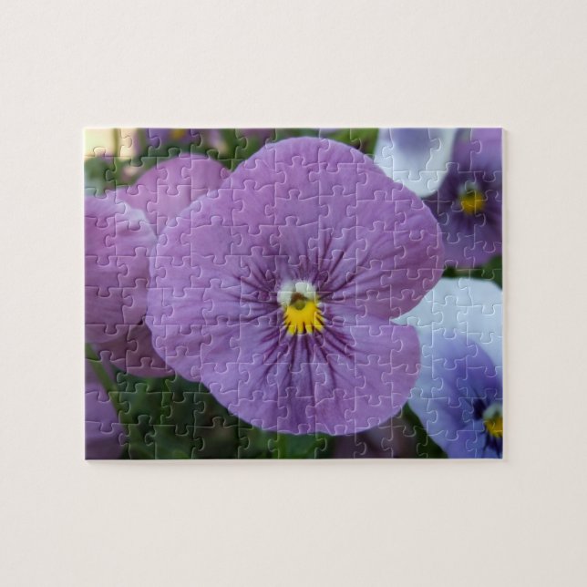 Purple Pansies Puzzle (Horizontal)