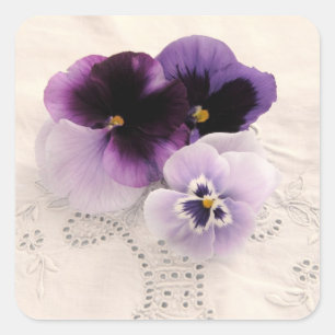 purple pansies square stickers