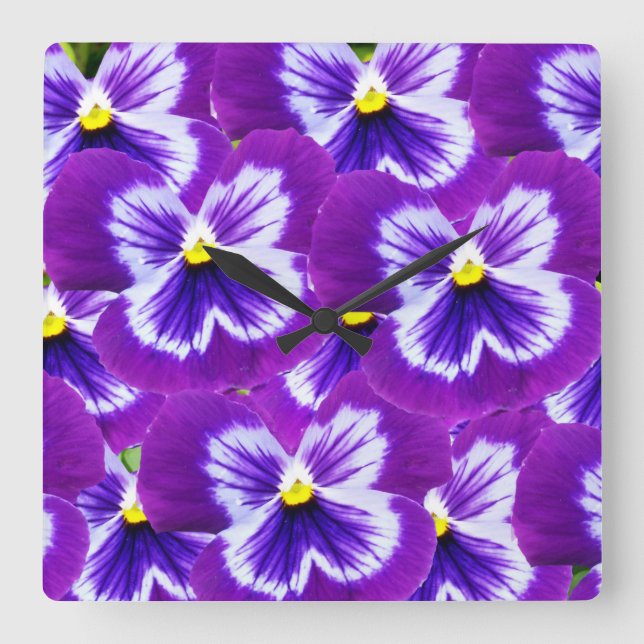Purple Pansies With Butterfly Like Petals, Square Wall Clock (Front)