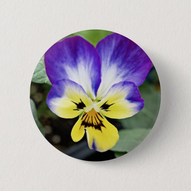 Purple Pansy 2 Inch Round Button (Front)