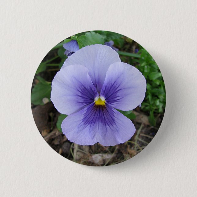 Purple Pansy 2 Inch Round Button (Front)