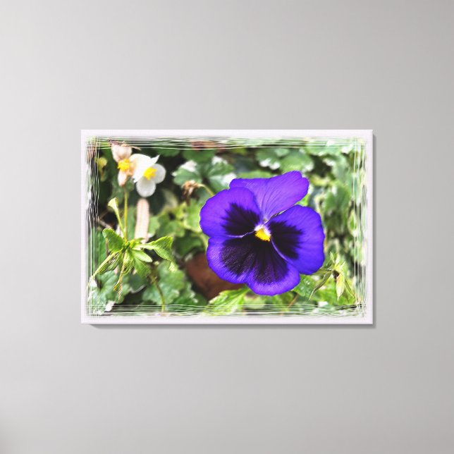 Purple pansy canvas print (Front)