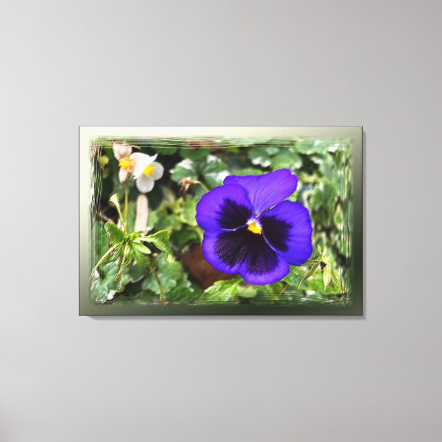 Purple pansy canvas print (Front)