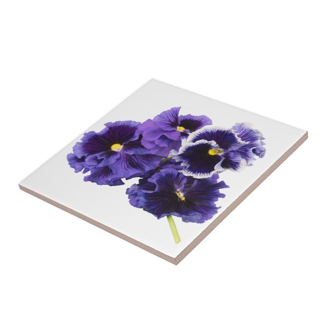 Purple Pansy Ceramic Tile (Side)