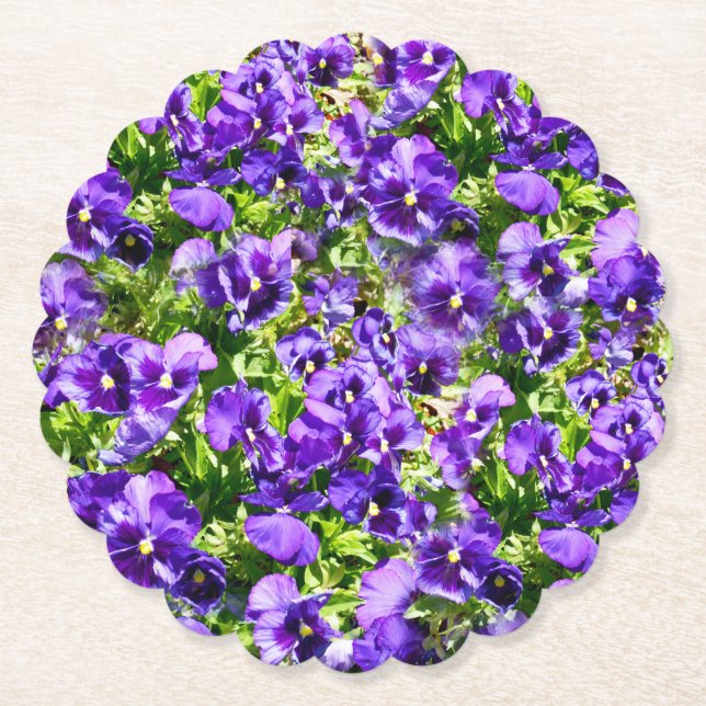 Purple Pansy Field, Paper Coaster (Front)