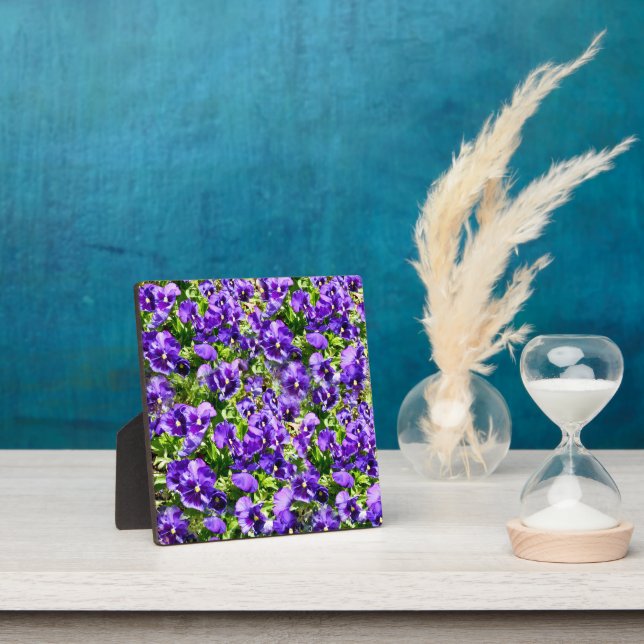 Purple Pansy Field,  Plaque (Insitu)