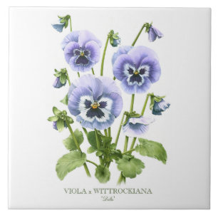 Purple Pansy Floral Botanical Style Art Tile