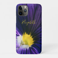 Purple pansy macro photograph elegant