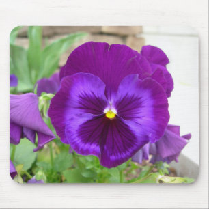 Purple Pansy Mousepad