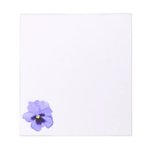 Purple Pansy