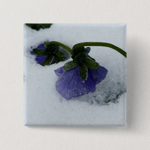 Purple pansy on the snow 2 inch square button
