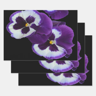 Purple Pansy Posy, Wrapping Paper Sheet