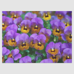purple pansy tissue paper