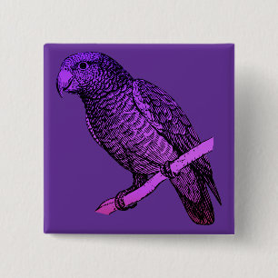 Purple Parrot 2 Inch Square Button