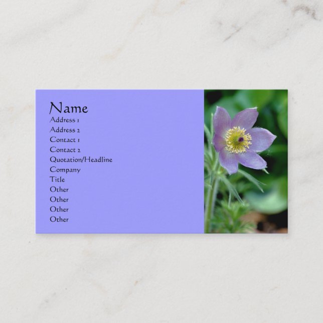 Purple Pasque Carte de visite de la photographie (Devant)