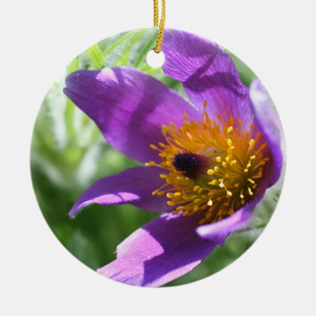Purple Pasque Macro Flower Ornament (Front)