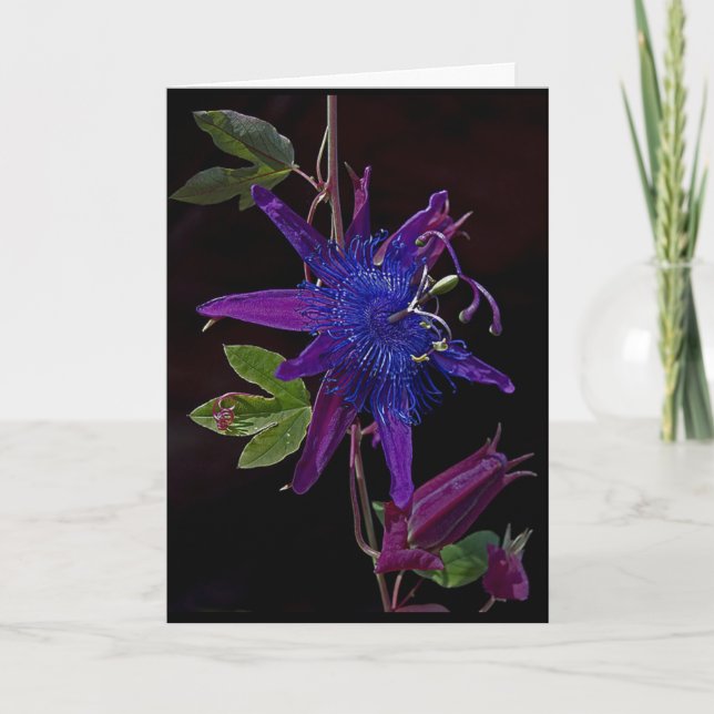 Purple Passion Card (Front)