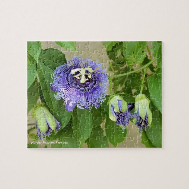 Purple Passion Fleurs Jigsaw Puzzle Jeu (Horizontal)