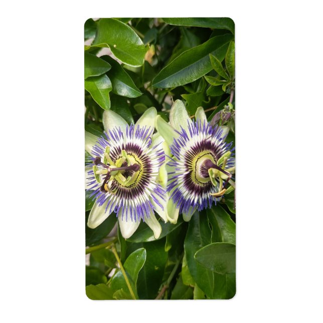 Purple Passion Flower Label (Front)