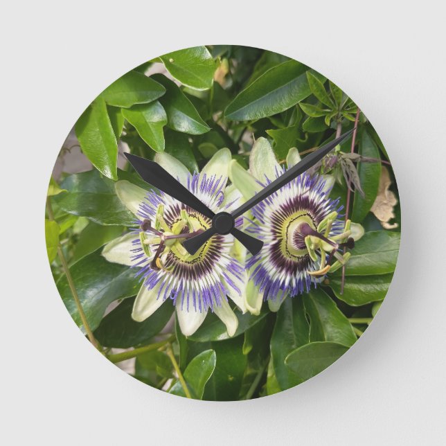 Purple Passion Flower Wall Clock (Front)