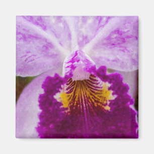 Purple Passion Orchid Magnet