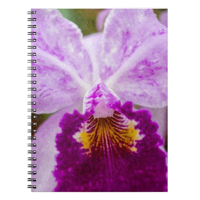 Purple Passion Orchid Notebook (Front)