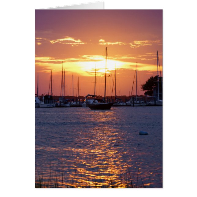 Purple Passion Sunset (Front)