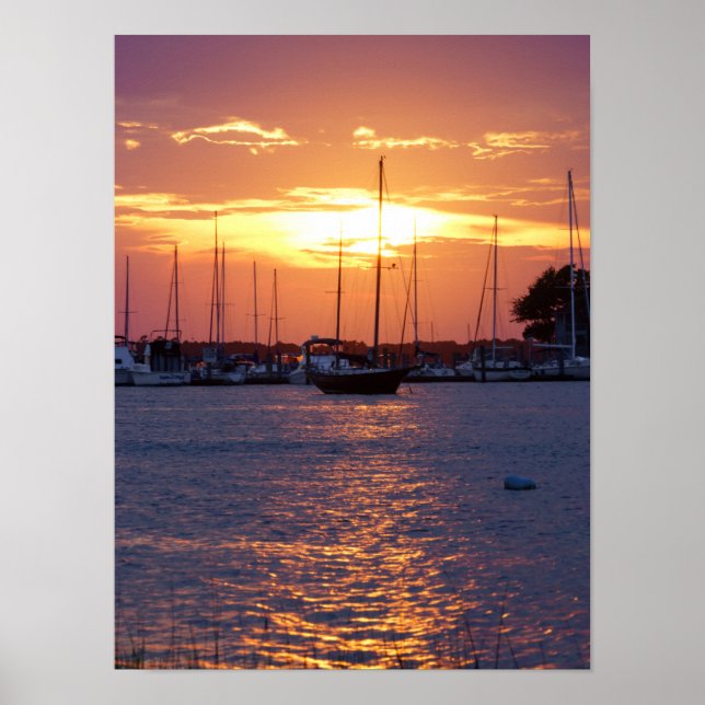 Purple Passion Sunset Poster (Front)