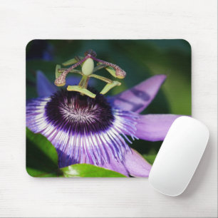 Purple Passionfruit Mousepad
