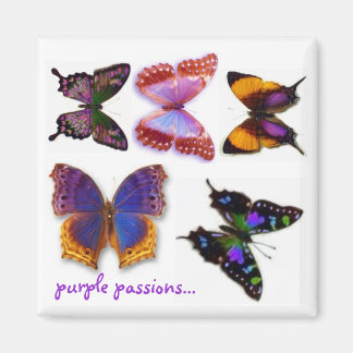 Purple Passions Papillons Magnet par S Ambrose
