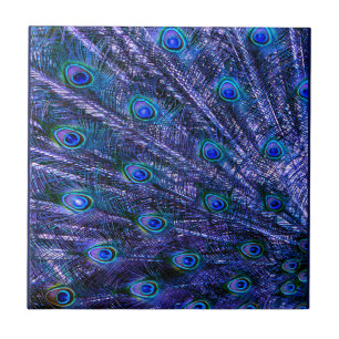 Purple Peacock Feathers Baby Blanket Tile