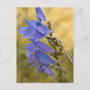 Purple Penstemon Mixed Media Drawing Postcard