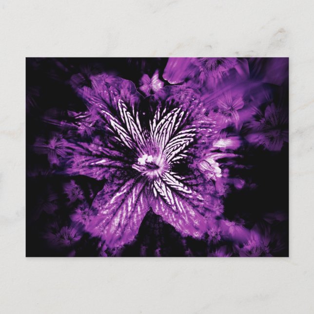 Purple Petal Hellos Postcard (Front)