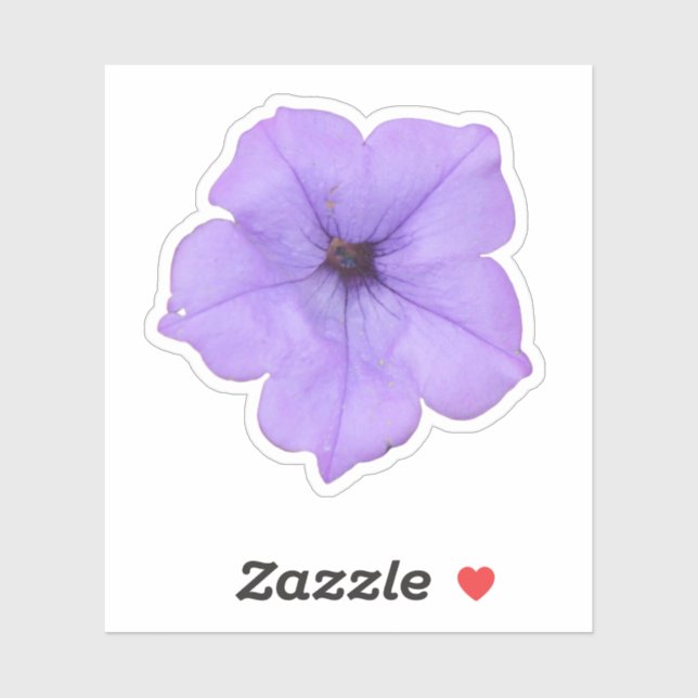 Purple Petunia (Sheet)