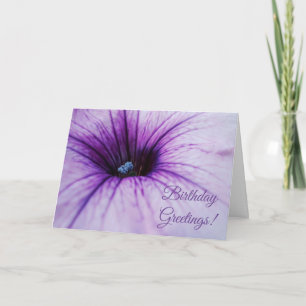 Purple Petunia Flower Birthday Greetings Card