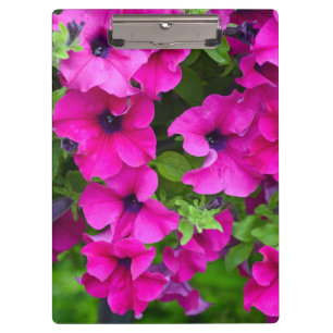 Purple petunias clipboard